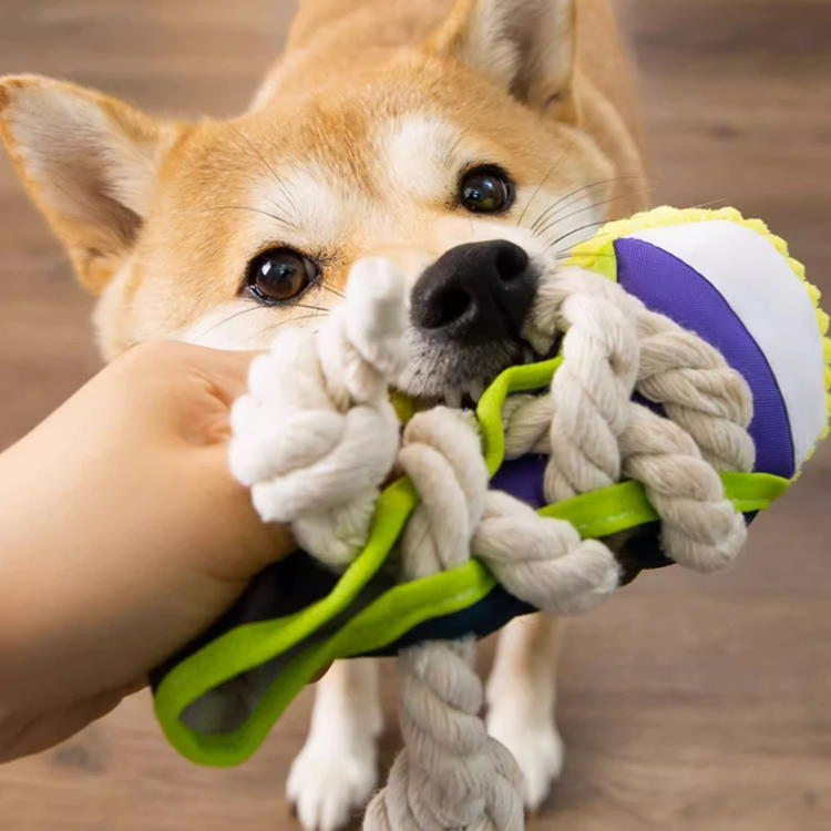 Durable Dog Toy: Cotton Rope Slippers for Chewing Fun