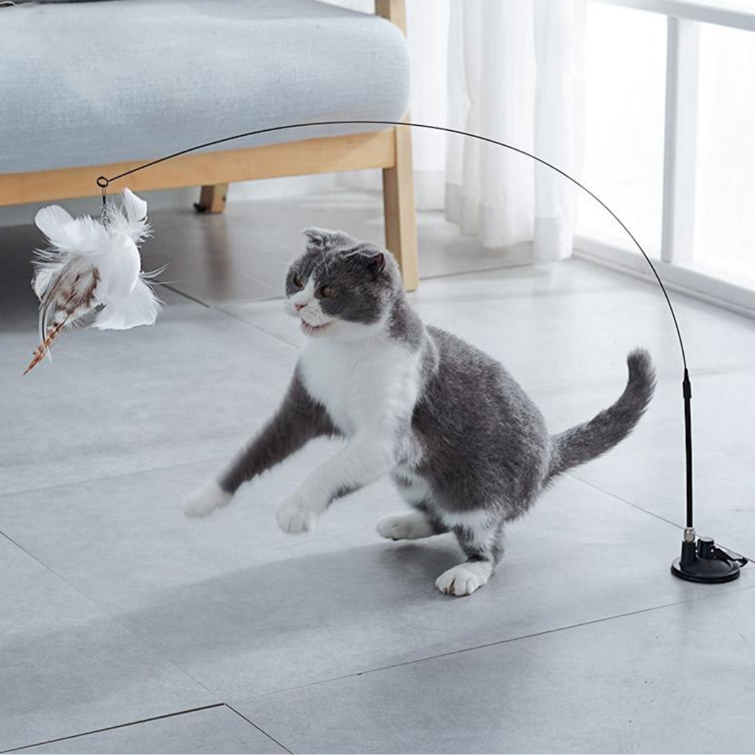 Interactive Suction Cup Cat Toy with Feather Teaser