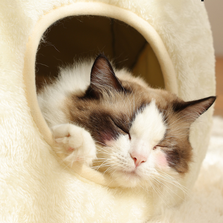 Cozy Frog-Shaped Cat Bed - Enclosed & Fun Design