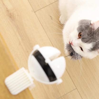 Interactive Retractable Feather Cat Toy for Endless Fun