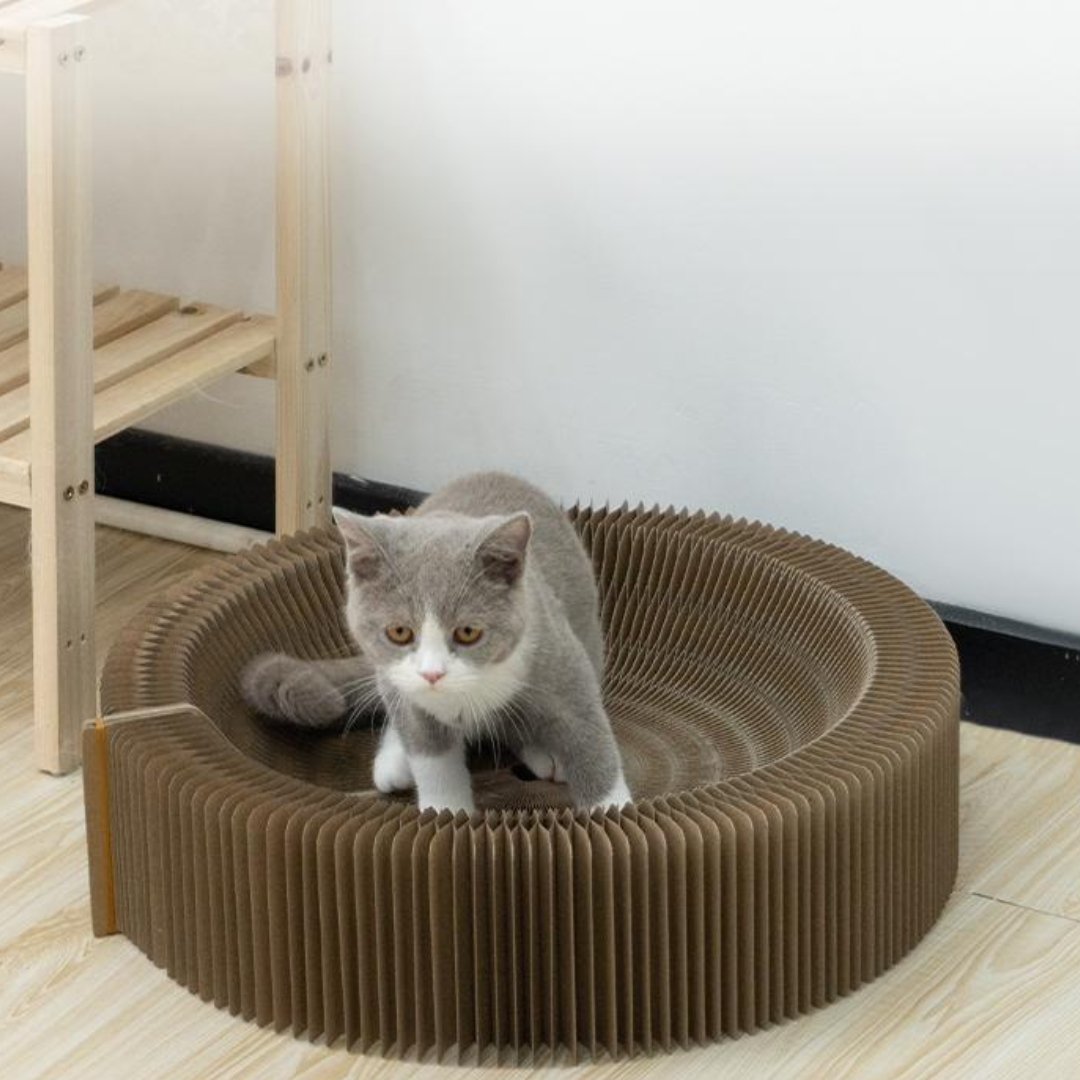Interactive Cat Toy: Durable Scratching Board for Fun Play