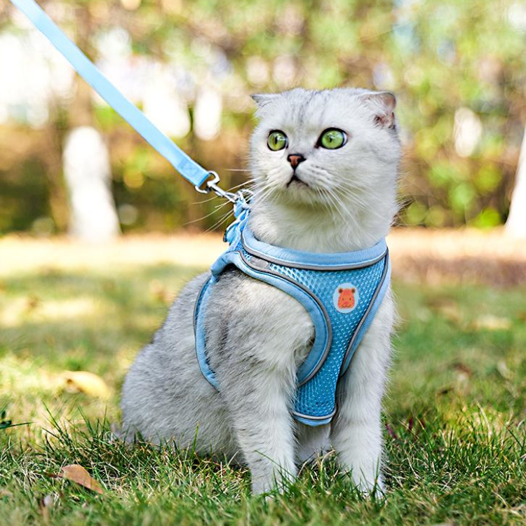 Durable Reflective Cat Harness & Leash for Safe Walks