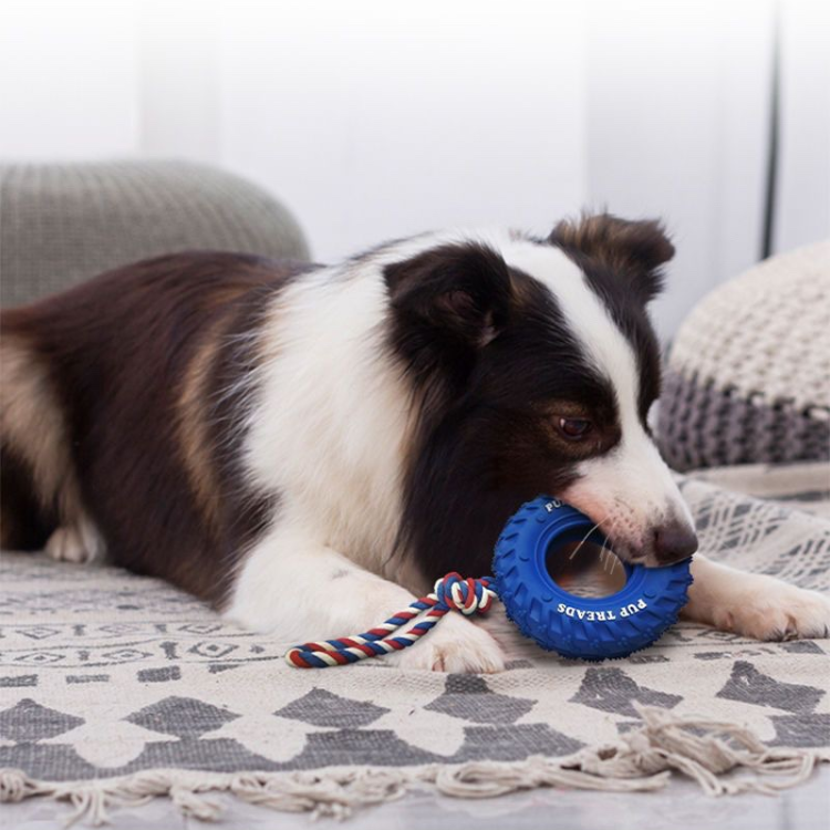 Durable Dog Tug Toy: Interactive Chew & Play Rope