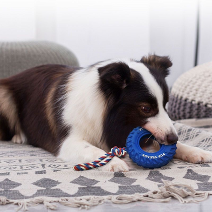 Durable Dog Tug Toy: Interactive Chew & Play Rope