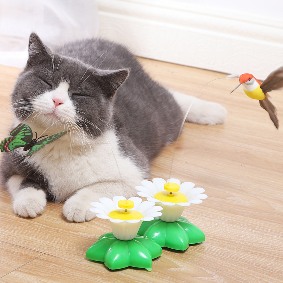 Interactive Rotating Butterfly Cat Toy for Endless Fun