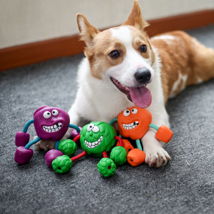 Durable Rubber Squeaker Dog Toys for Interactive Fun