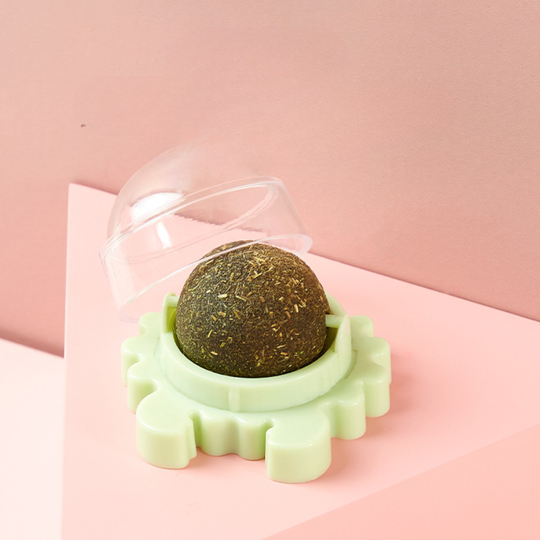 Interactive Crab Cat Toy: Rotating Catnip Treats Ball