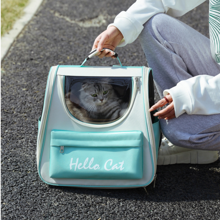 Windproof Cat Carrier Backpack for Safe Outdoor Travel