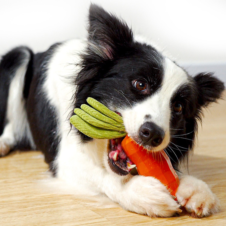 Durable Dog Toy: Crinkle Paper Squeaker for Fun Playtime