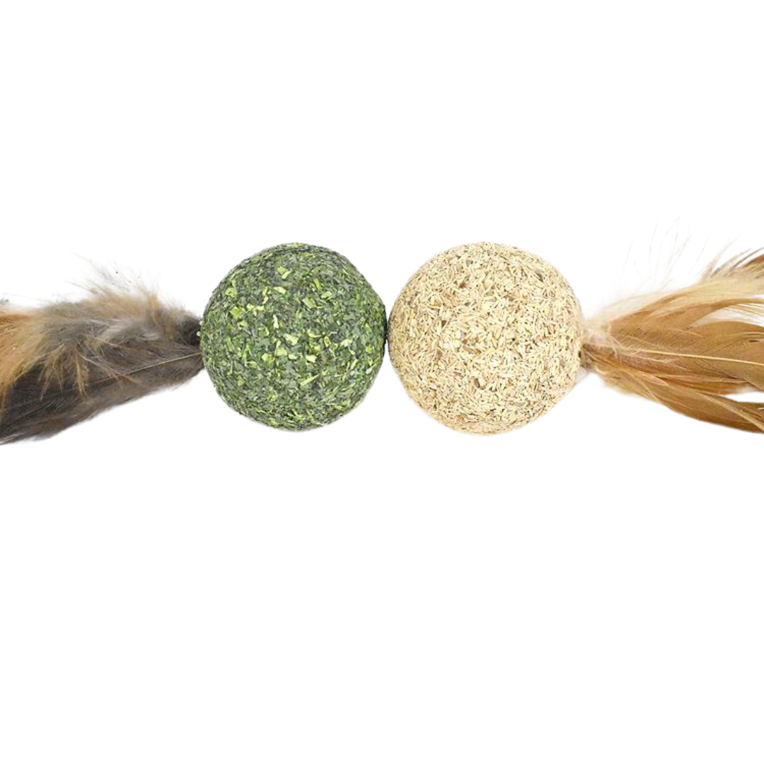 Interactive Catnip Ball Toy with Feather for Fun Playtime