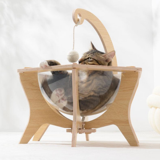 Interactive Transparent Cat Bed with Sisal Ball for Fun Play
