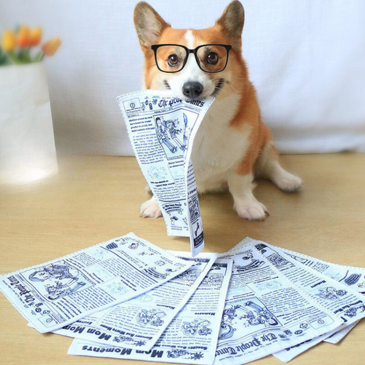 Interactive Pet Crinkle Paper Toys for Fun Playtime
