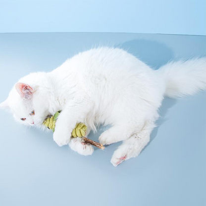 Interactive Plush Catnip Mouse Toys for Engaging Playtime