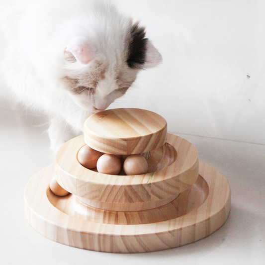 Interactive Cat Toy: Fun Wooden Turntable for Playtime