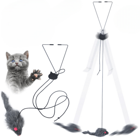Interactive Hanging Cat Toy for Endless Fun