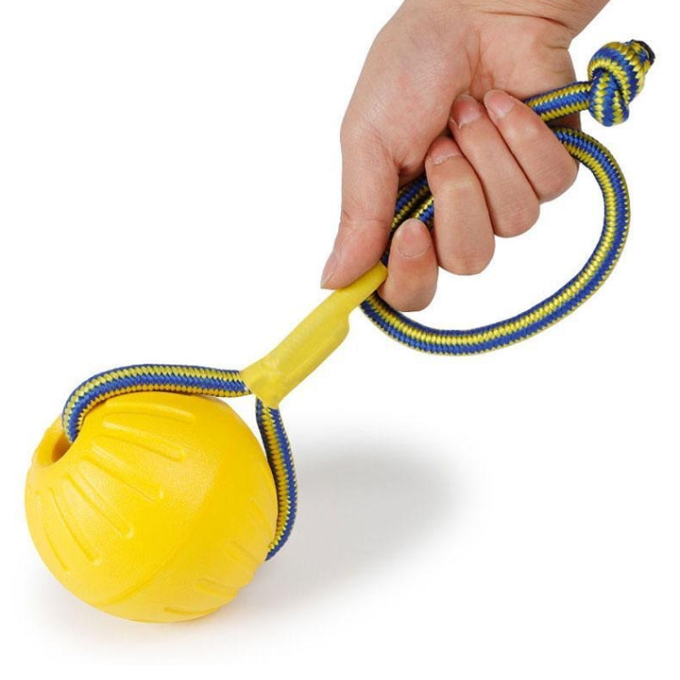 Durable Dog Chew Ring Ball Toy for Interactive Play