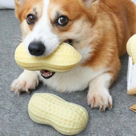 Durable Peanut Squeaker Dog Toy for Interactive Fun