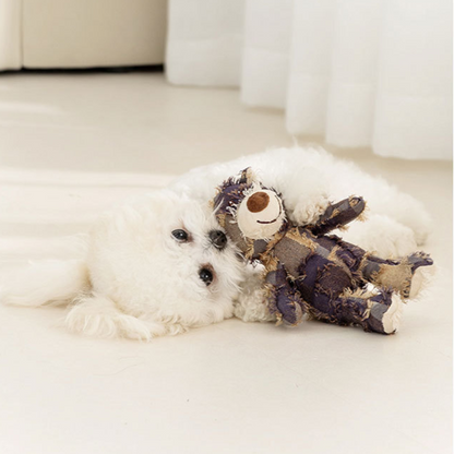 Interactive Beggar Bear Dog Toy - Fun Sound for Playtime!
