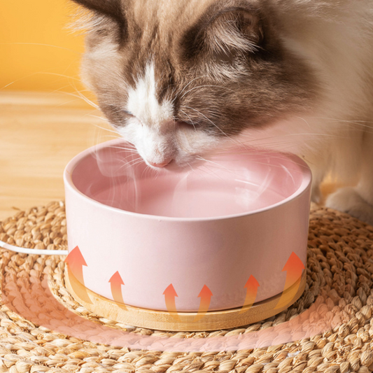Heating Ceramic Cat Water Bowl - Keeps Water Warm & Fresh