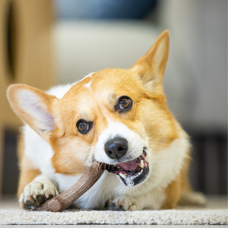 Durable Chew-Resistant Dog Toy - Pet Friendly Fun!