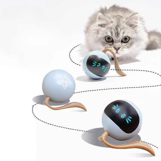 Interactive Smart Magic Ball Cat Toy for Endless Fun