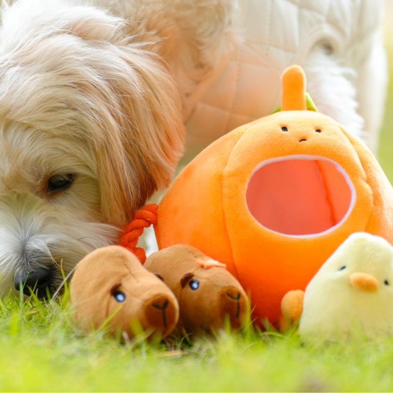 Interactive Plush Pumpkin Dog Toy for Chewing Fun