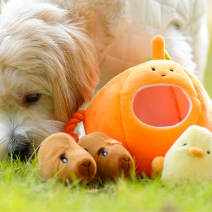 Interactive Plush Pumpkin Dog Toy for Chewing Fun