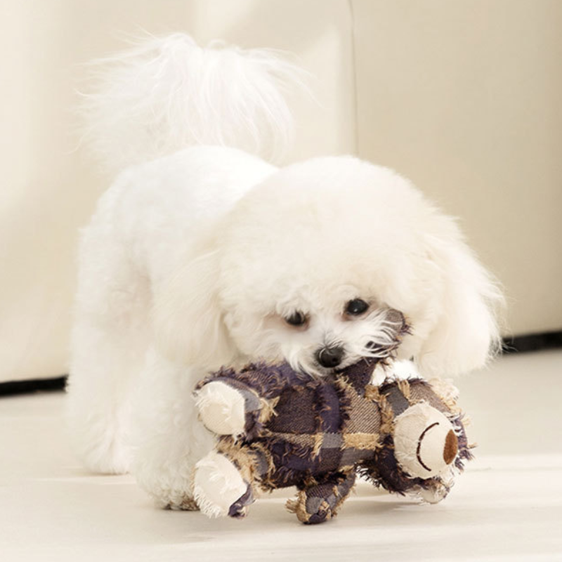 Interactive Beggar Bear Dog Toy - Fun Sound for Playtime!