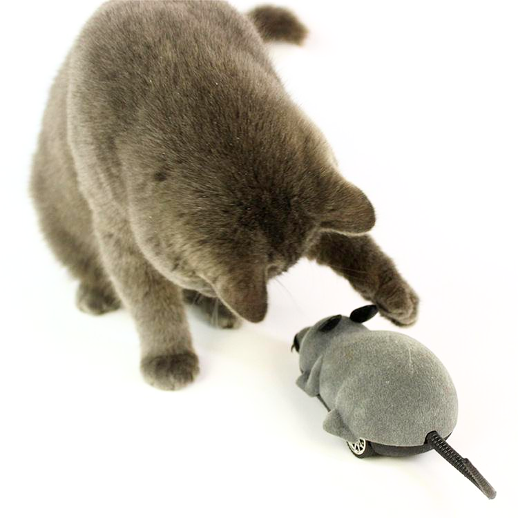 Interactive Cat Toy: Electric Moving Mouse for Endless Fun