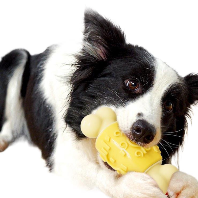 Durable Dog Bone Chew Toy - Fun for Interactive Play!