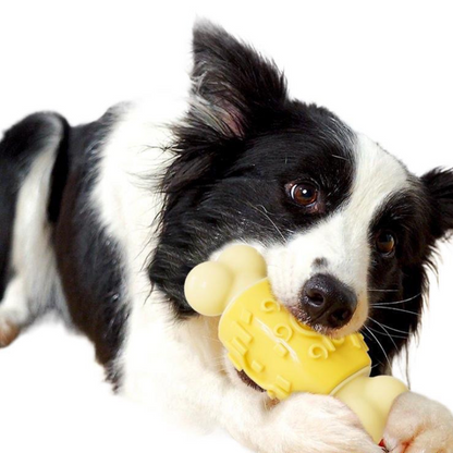 Durable Dog Bone Chew Toy - Fun for Interactive Play!