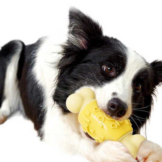 Durable Dog Bone Chew Toy - Fun for Interactive Play!