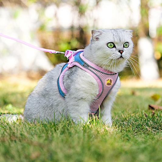 Durable Reflective Cat Harness & Leash for Safe Walks