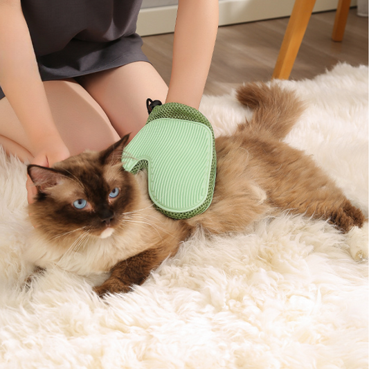 Pet Grooming Tool: Interactive Brush Gloves for Cats & Dogs