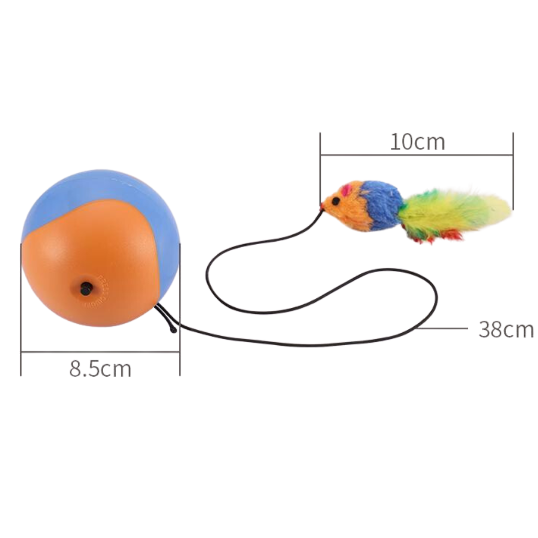 Interactive Cat Toy: Rolling Ball with Mouse Feather Fun