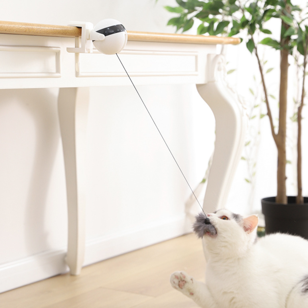 Interactive Retractable Feather Cat Toy for Endless Fun