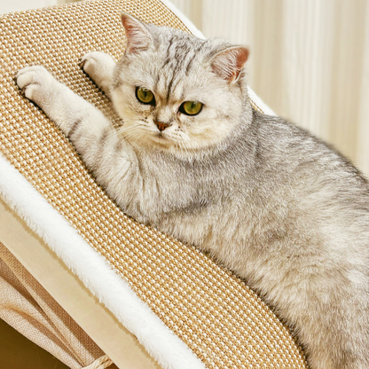 Durable Cat Scratching Tent House Bed - Fun & Interactive!