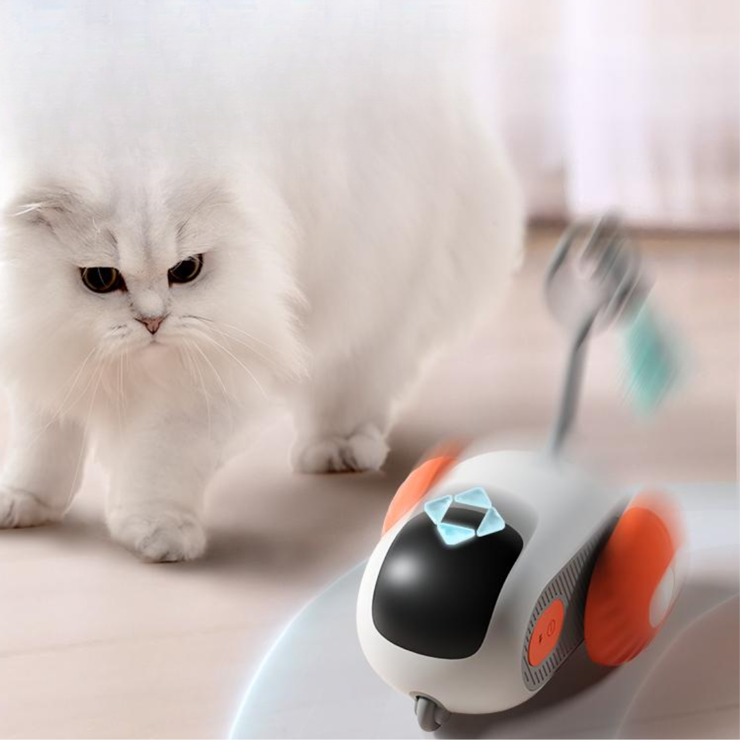Interactive Electric Racing Car Cat Toy for Endless Fun