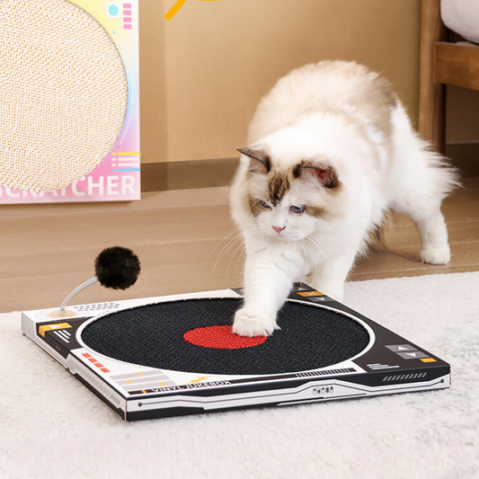 Interactive Record Player Cat Scratching Board - Fun Pet Accessory