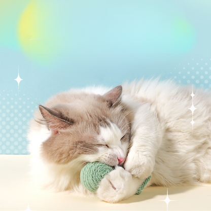 Interactive Cat Toy: Feather Rope with Sound for Endless Fun