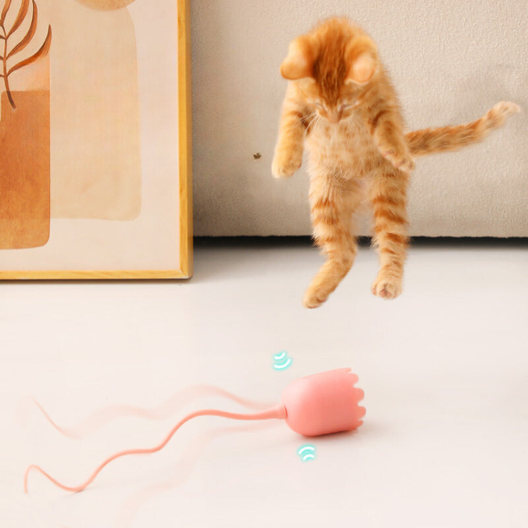 Interactive Electric Cat Toy with Rotating Teasing Tail