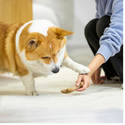 Durable Chew-Resistant Dog Toy - Pet Friendly Fun!