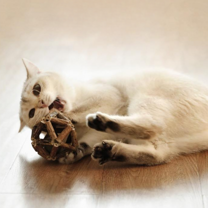 Durable Natural Catnip Toys for Chewing Fun