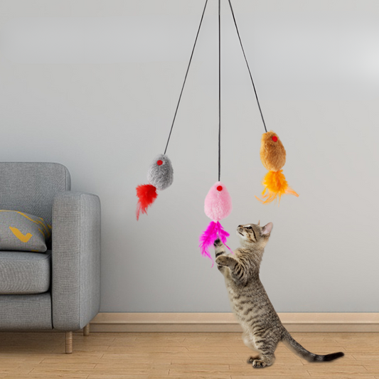 Interactive Hanging Cat Toy - Fun Teaser for Playful Kittens