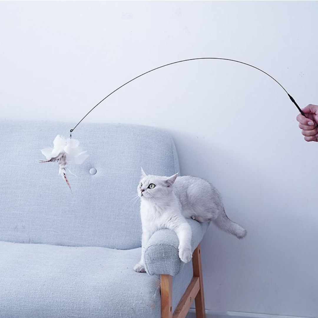 Interactive Suction Cup Cat Toy with Feather Teaser