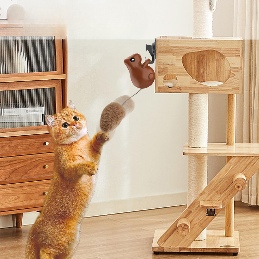 Interactive Cat Toy: Fun Hanging Squirrel Teaser for Play