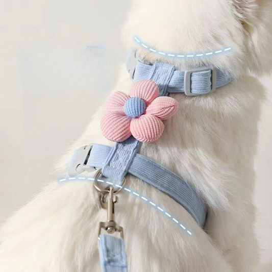 Adjustable Escape-Proof Cat Leash Collar for Safe Walks
