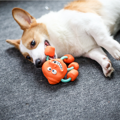 Durable Rubber Squeaker Dog Toys for Interactive Fun