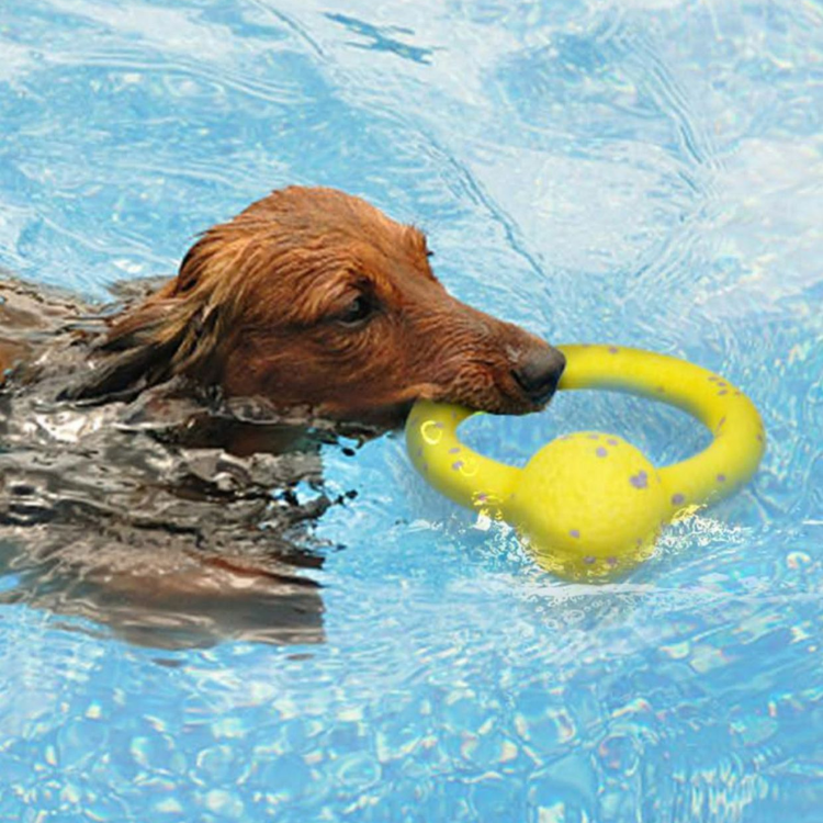 Durable Dog Chew Ring Balls - Fun Interactive Toy