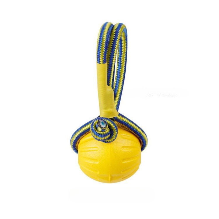 Durable Dog Chew Ring Ball Toy for Interactive Play